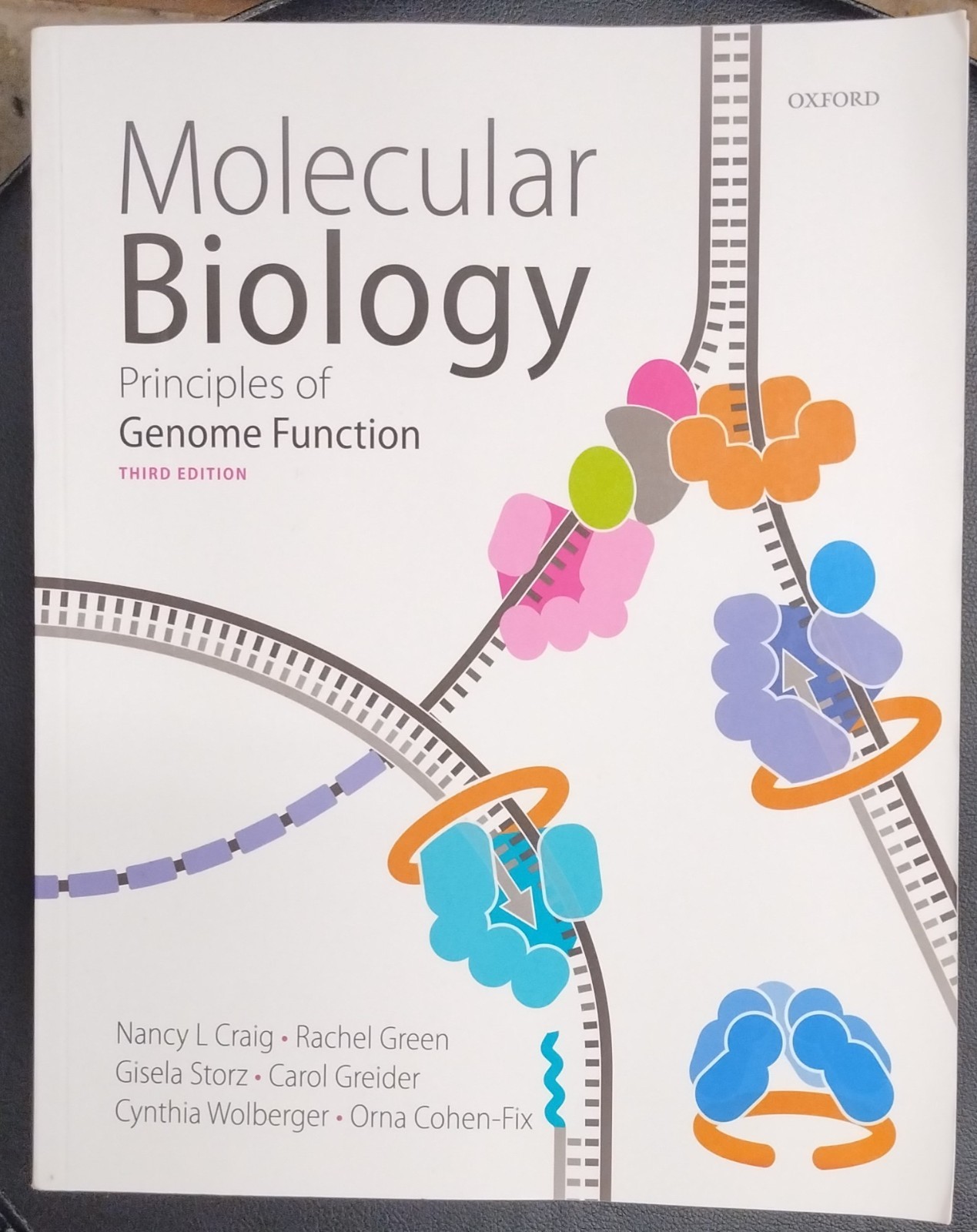 Molecular Biology: Principles of Genome Function by Craig, Nancy L.