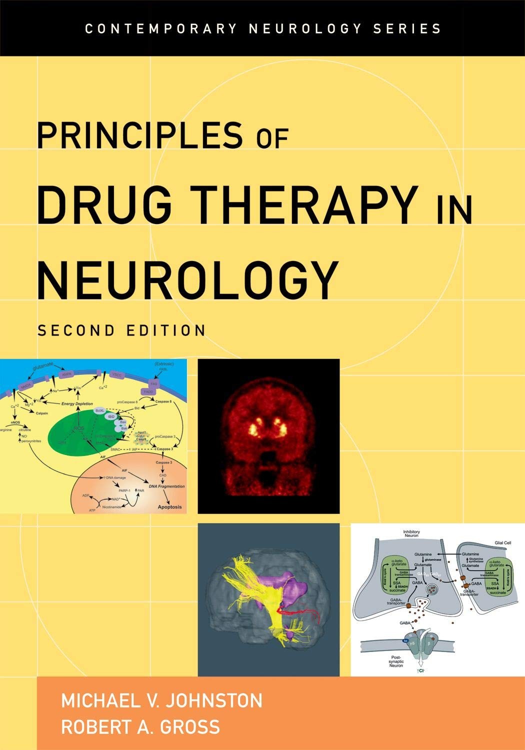 Principles of Drug Therapy in Neurology (Contemporary Neurology Series)