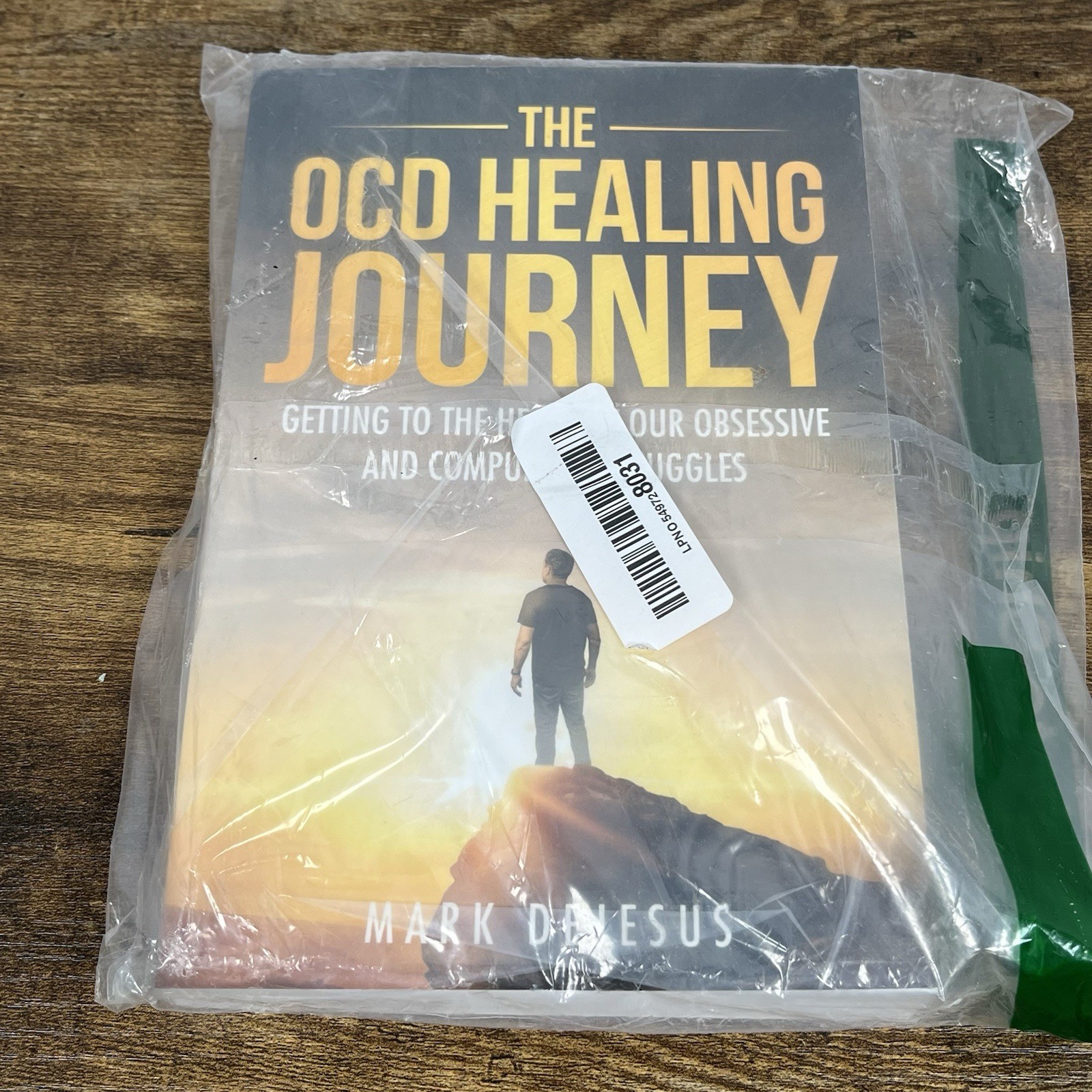 The OCD Healing Journey Mark DeJesus Paperback Christian OCD Recovery