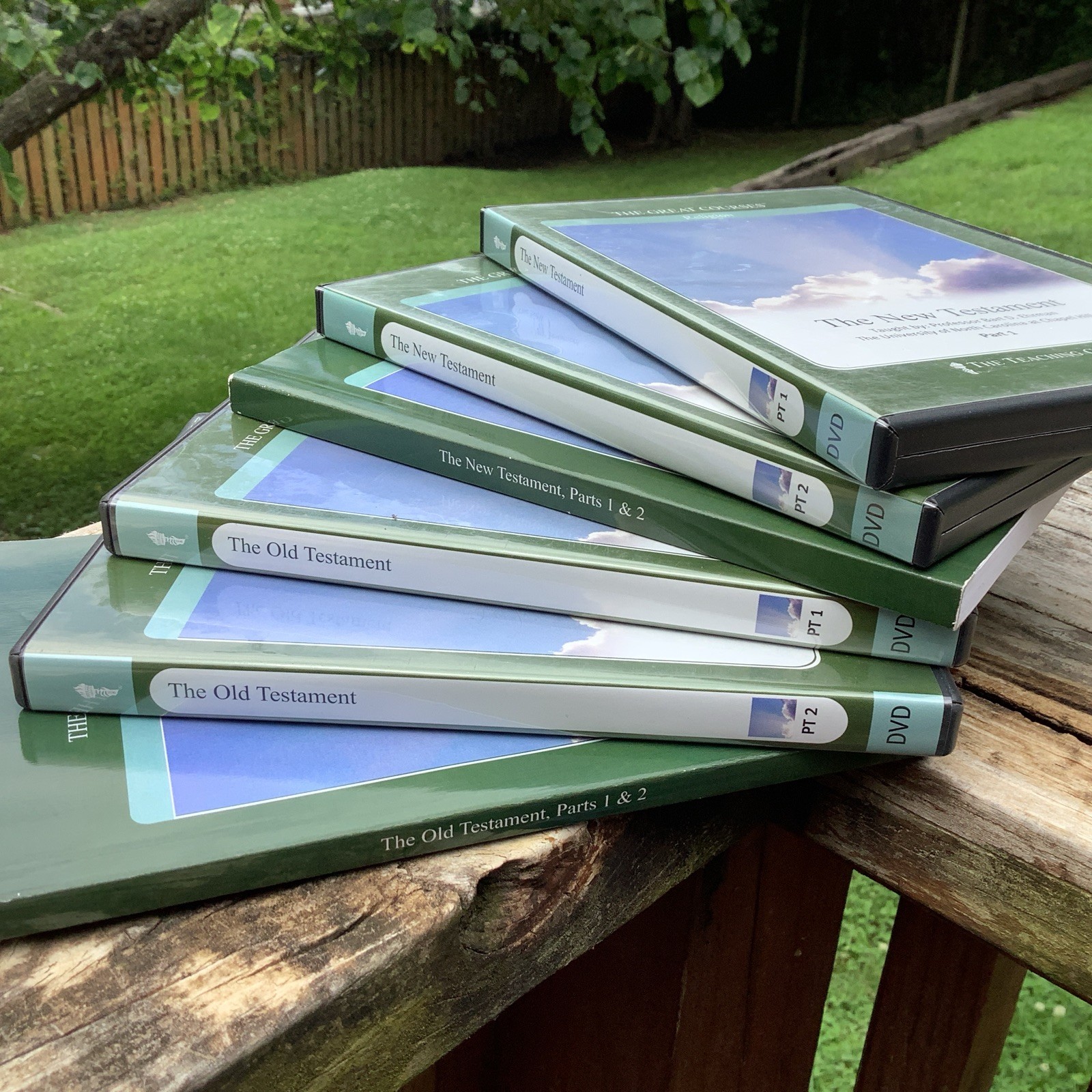 Great Courses: Understanding the Bible Old & New Testaments 8 DVDs & Guides