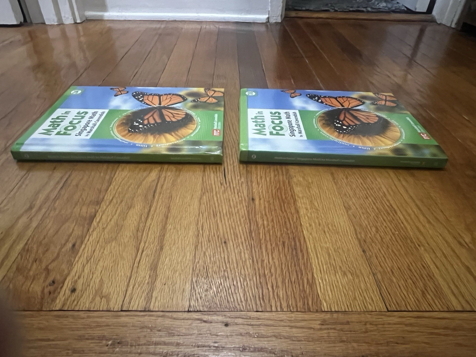 Set ~ 2 Math In Focus 3A, 3B Student Textbooks Singapore Math Marshall Cavendish