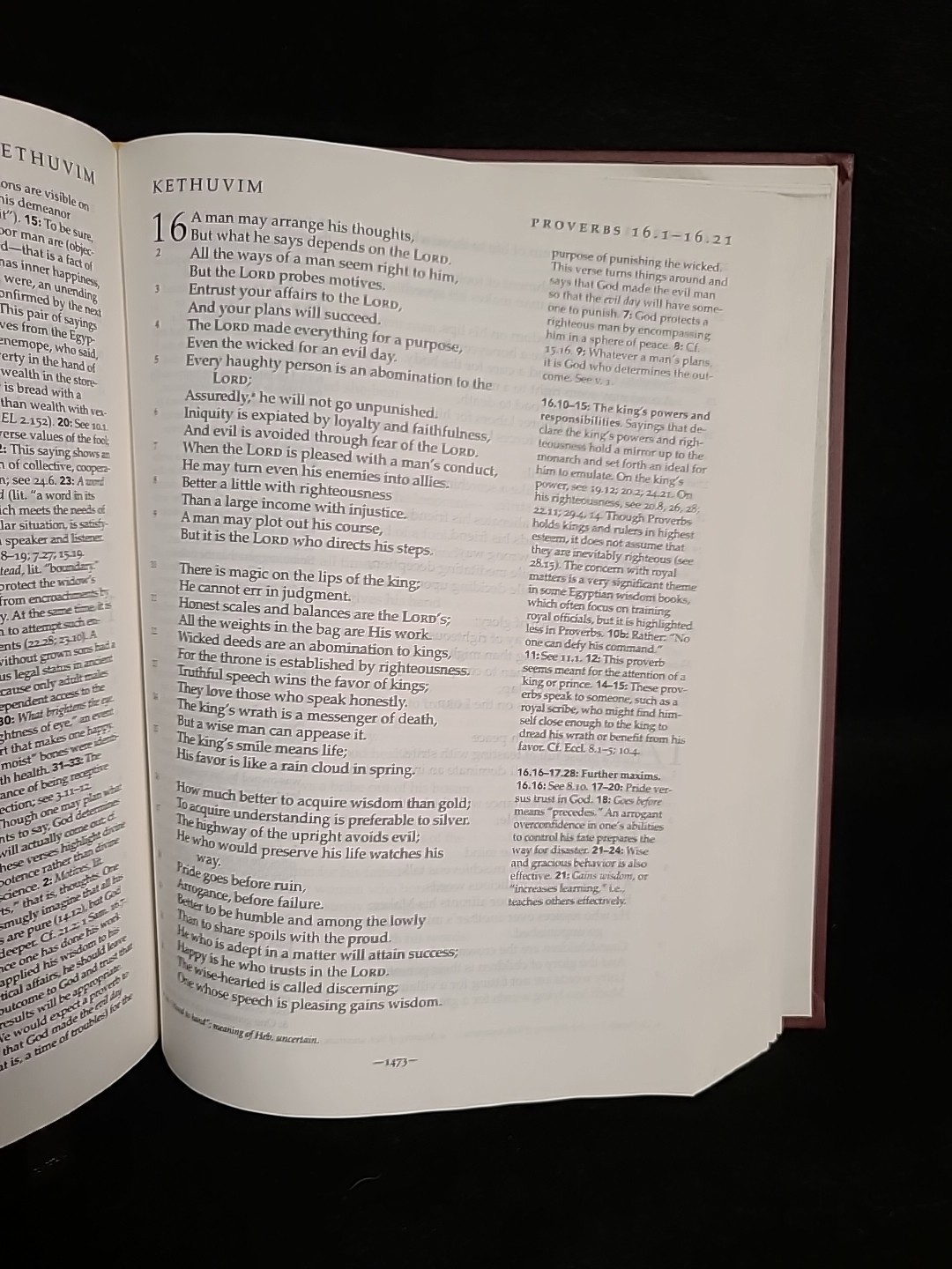 The Jewish Study Bible JPS Tanakh Oxford HC Adele Berlin Brettler 2004