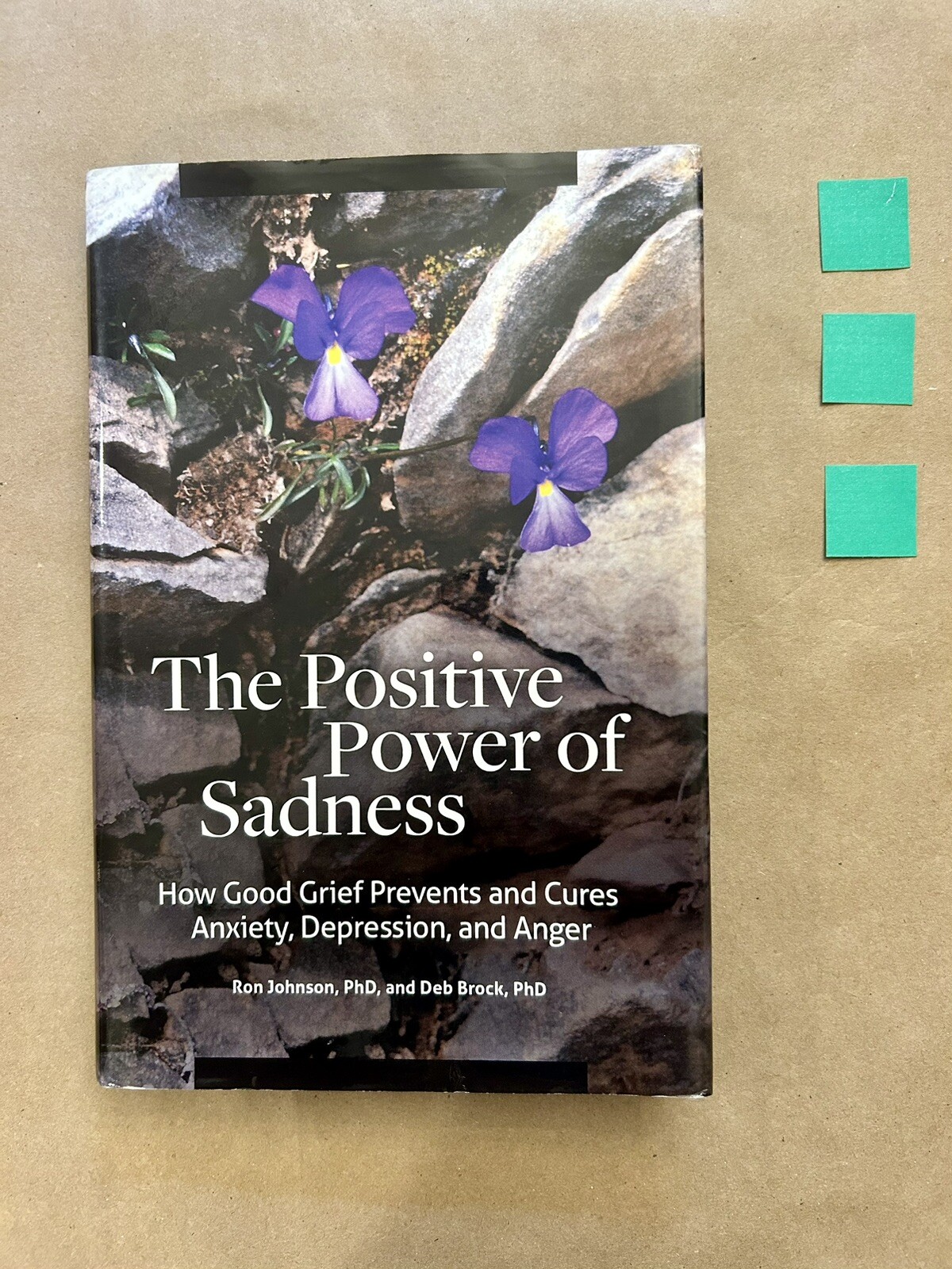 Psychology, Religion, and Spirituality Ser.: Positive Power of Sadness : How…