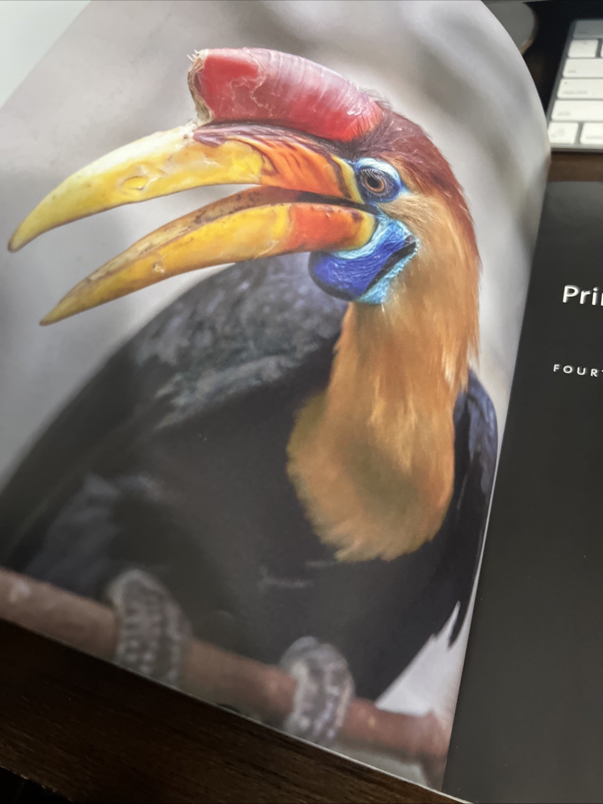 Principles of Animal Behavior, 4th Edition, Dugatkin, Lee Alan **Damaged Read