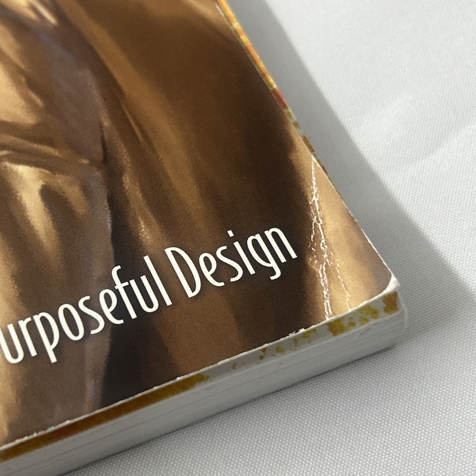 ACSI Purposeful Designs ~ Bible: Grade 4 Student Book ~ Third edition