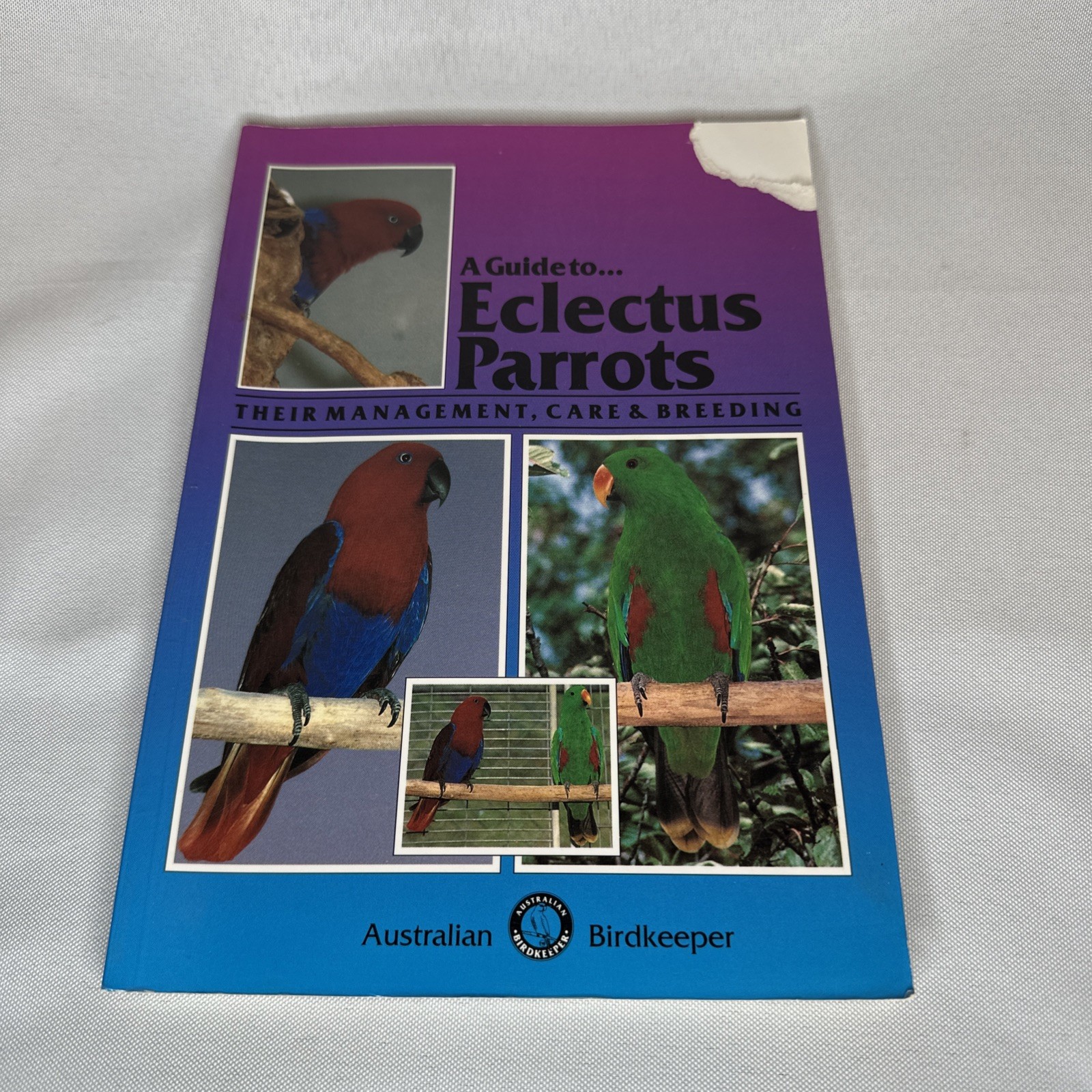 A Guide to Eclectus Parrots Management Care & Breeding Australian Birdkeeper