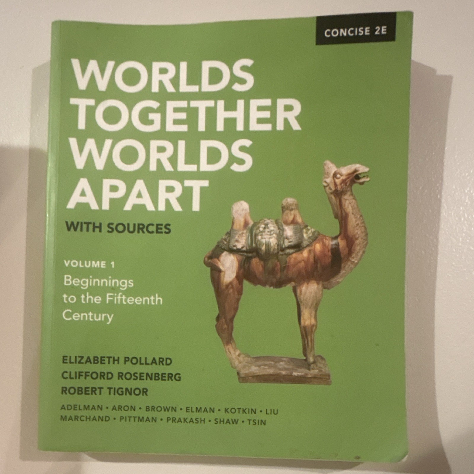 W. W. Norton Worlds Together, Worlds Apart w/ Sources Vol 1 Concise 2E PB