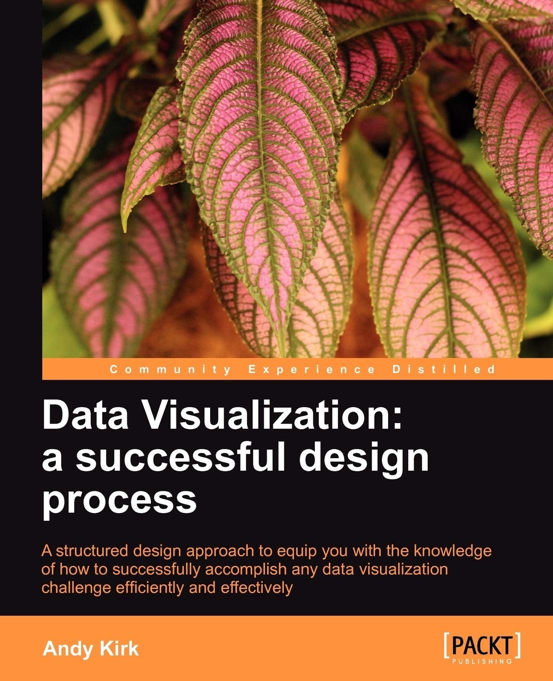 Data Visualization: a successful design process by Andy Kirk