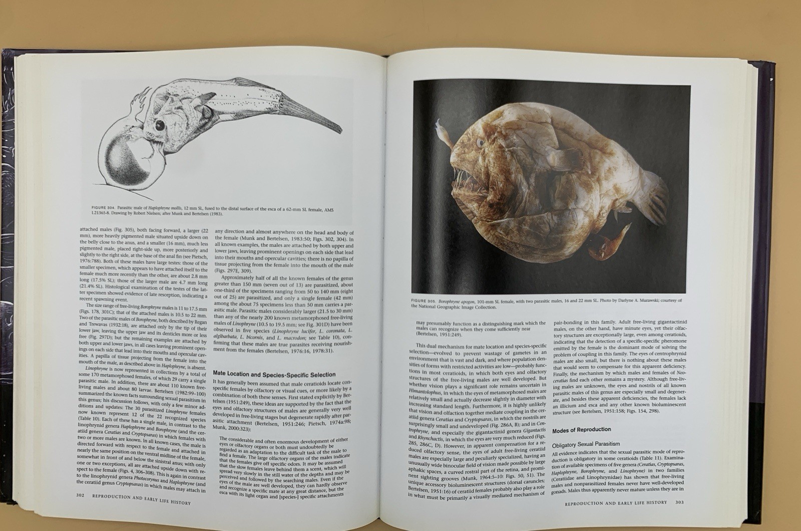 Oceanic Anglerfishes: Extraordinary Diversity in the Deep Sea Theodore W Pietsch