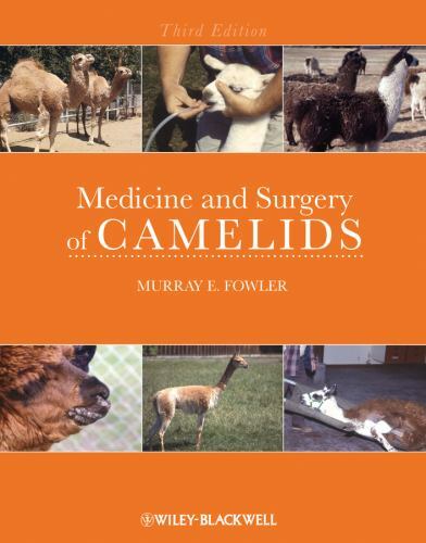 Medicine and Surgery of Camelids by Murray Fowler (2010, Hardcover)