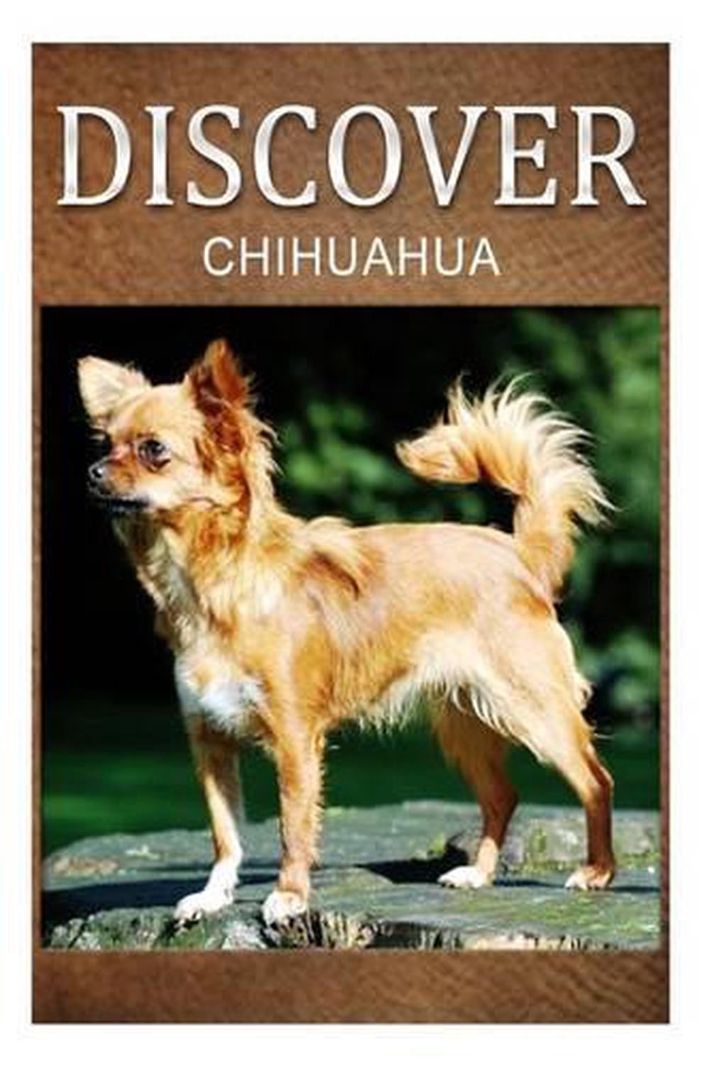 Chihuahua – Discover: Early reader’s wildlife photography book by Discover Press