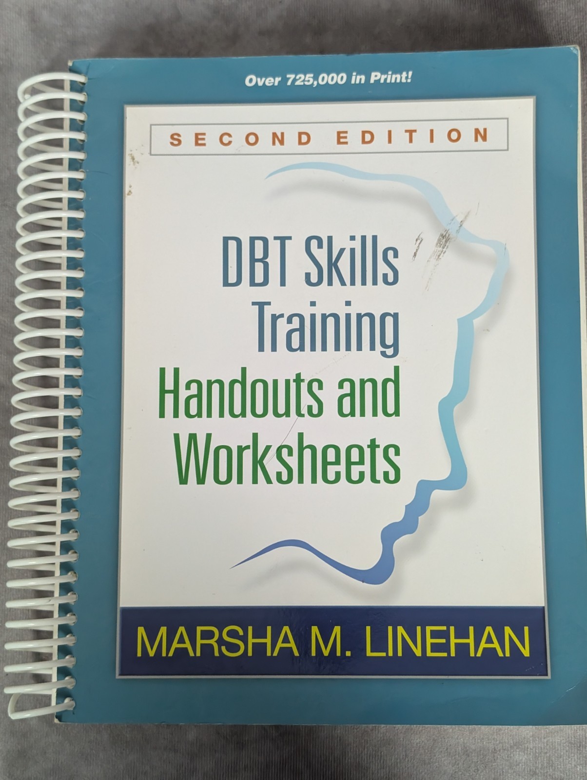 DBT Skills Training Handouts Worksheets 2nd Ed Marsha Linehan Book Spiralbound