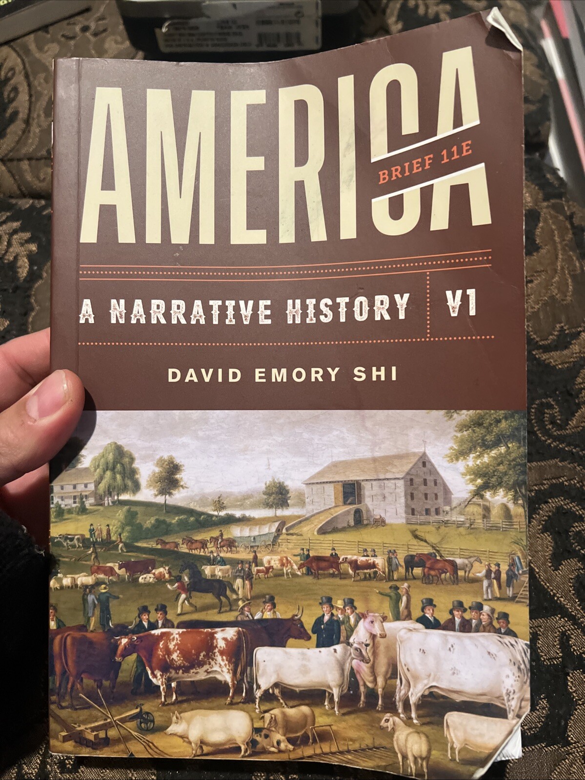 America: a Narrative History, 11th Edition (Brief Volume 1) + Reg Card by David