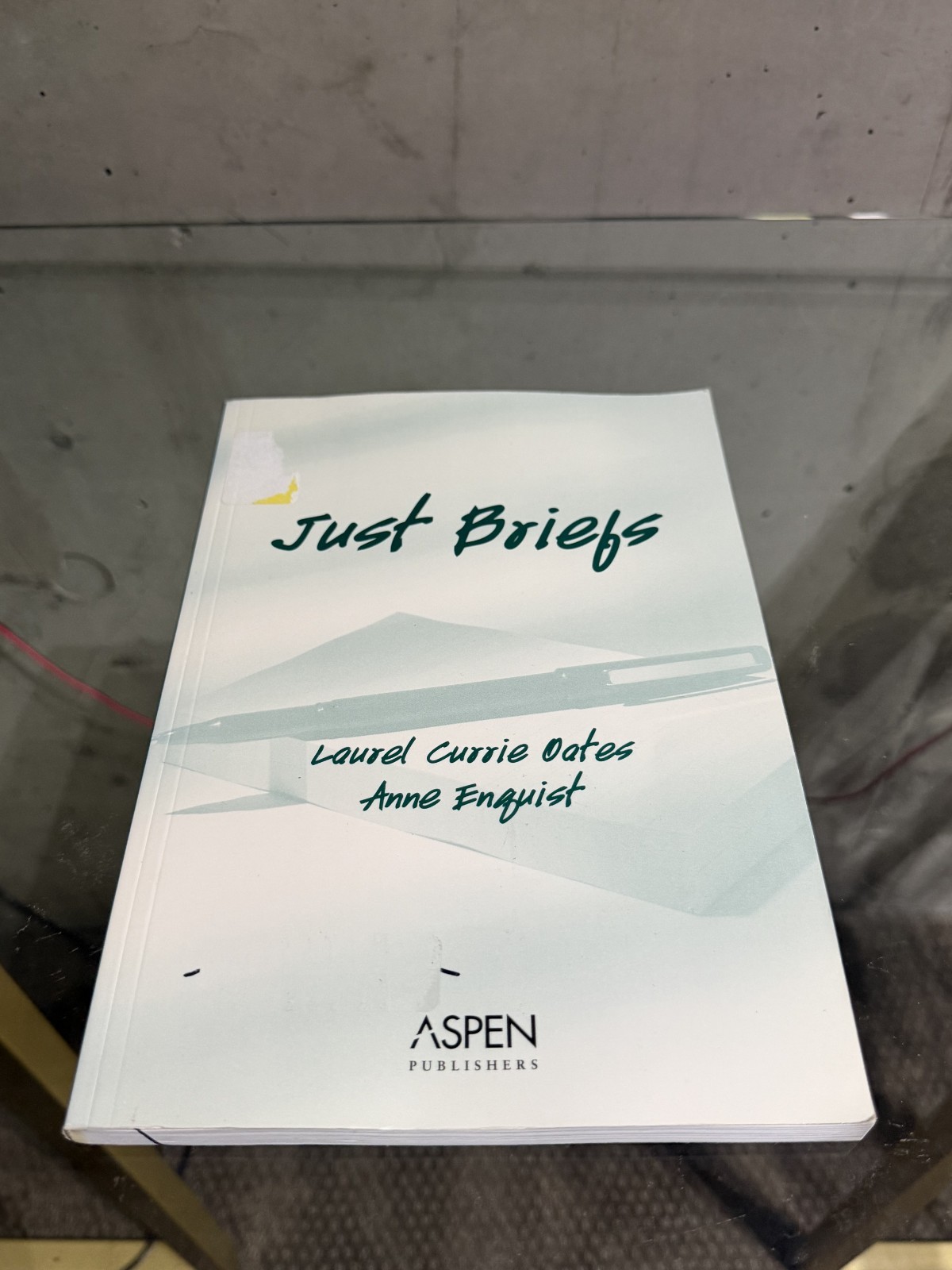 Just Briefs by Anne Enquist and Laurel Currie Oates (2002, Trade Paperback)
