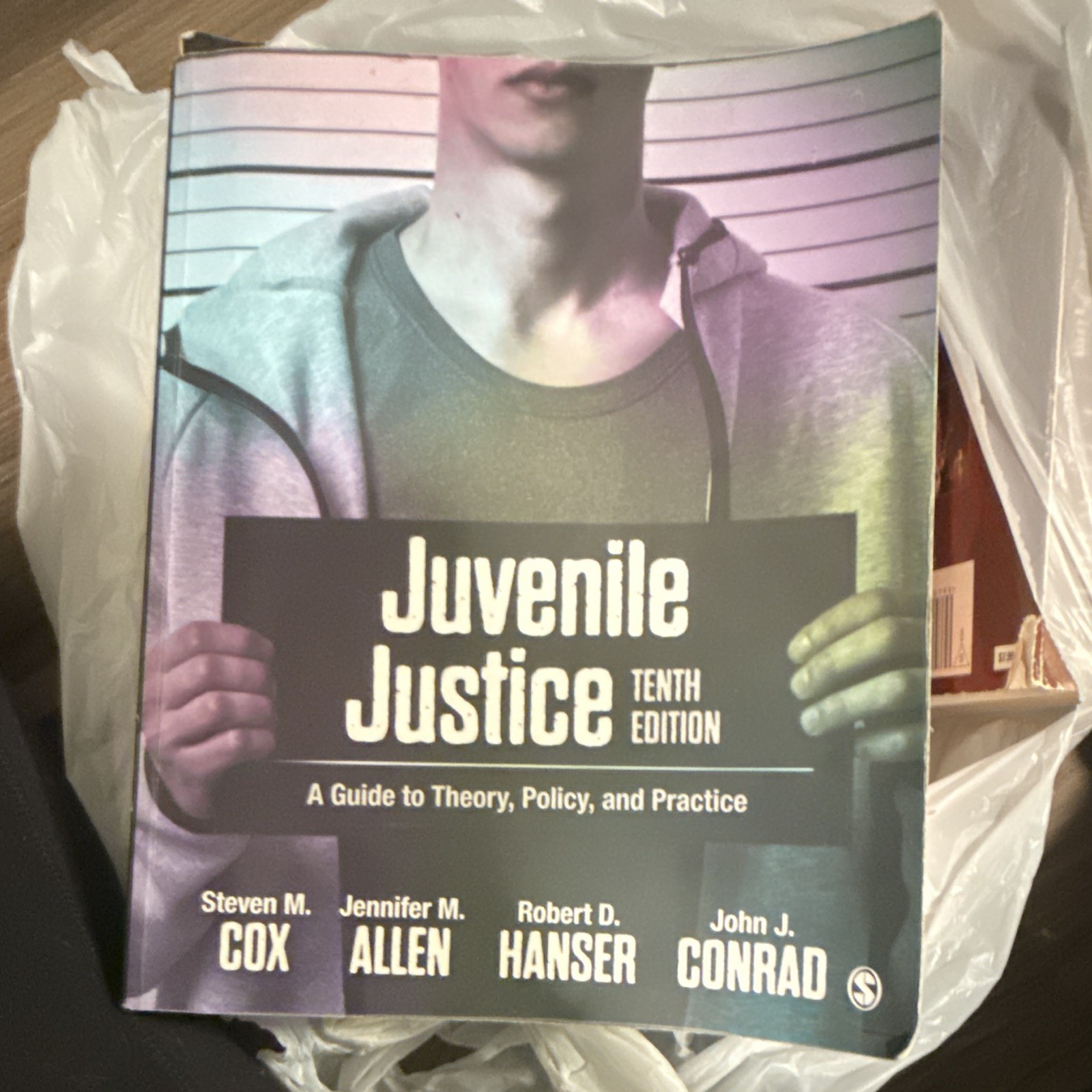 SAGE Juvenile Justice: A Guide to Theory, Policy & Practice 10th PB 2018