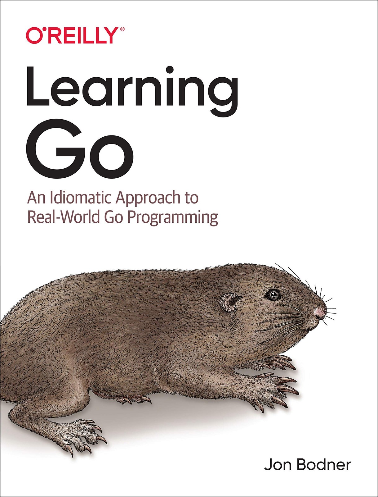 Learning Go: An Idiomatic Approach to Real-World Go Programming – paperback …